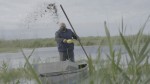 Els caçadors i caçadores del Delta, 365 dies compromesos amb la biodiversitat